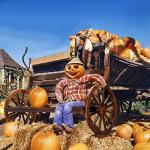 VINGLI Rustic Wooden Wheel Outdoor Patio Bench