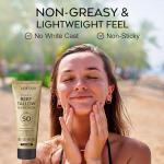 Beef Tallow Sunscreen SPF 50 for Face and Body