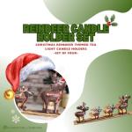 Rustic Metal Reindeer Tealight Candle Holder Set