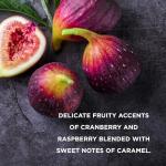 Midnight Fig & Pomegranate Luxury Pamper Gift Set