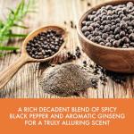 Baylis & Harding Black Pepper & Ginseng Men's Luxury Travel Bag Gift Set - Vegan Friendly