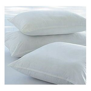 Pack Of 2 - 45 x 45 cm, 18" x 18" Non Allergenic Cushion Inners