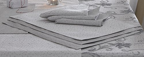 Glitter Effect Place Mats In Ravina Silver Grey