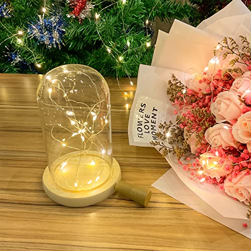 Etinga 10 Pack Wine Bottle Lights - Christmas Party Decor