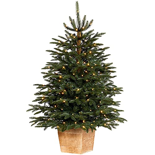 Pre-Lit Alaskan Fir Christmas Tree, 150 Warm White LEDs