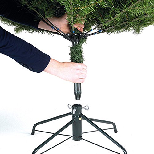 6FT FunkyBuys® Green Christmas Tree - 700 Tips