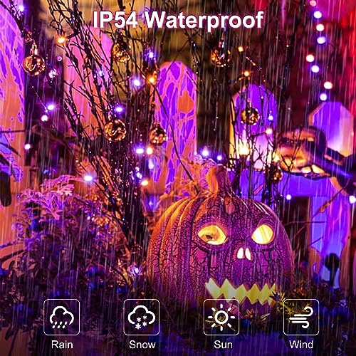 Christmas Cluster Lights, Battery Operated, 200 LEDs