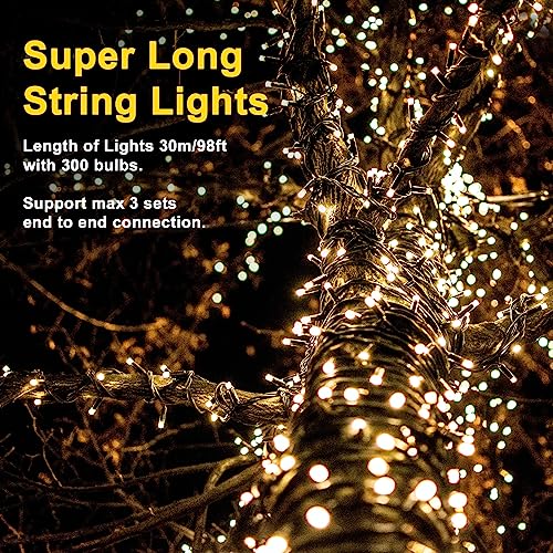 30M 300LED Waterproof Christmas Fairy Lights, 8 Modes