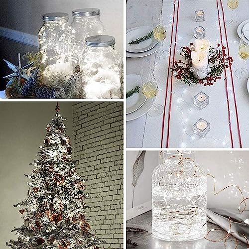 Lezonic Fairy Lights: 220LED, 25M, 8 Modes - Christmas Decoration
