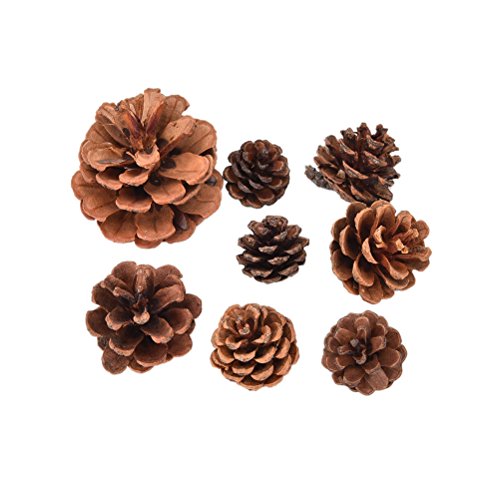 Christmas Pine Cones: 30 Ornaments for Xmas Tree