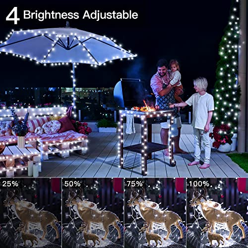 Ollny Fairy Lights Plug in - 30m 300 LED Fairy Lights Outdoor Waterproof, Remote/8 Modes/Timer/Dimmable Cold White String Lights Mains Powered for Outside Indoor Garden Tree Christmas Decorations