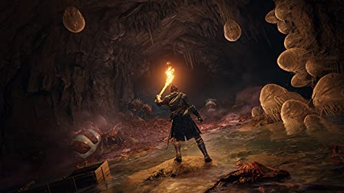 Limited Edition Elden Ring Xbox One Game