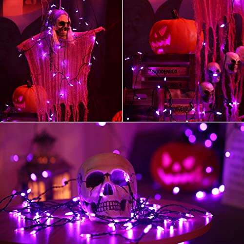 BrizLabs Halloween Decor Lights Outdoor, 33ft 100 LED Purple Christmas String Lights Mains Powered Fairy Light 8 Modes Waterproof Twinkle Lighting for Indoor Xmas Tree Horror Party DIY Garden Patio