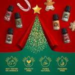 Festive Christmas Essential Oils Gift Set
