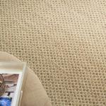 Nourison Jute Rug – Easy Clean, Versatile Size