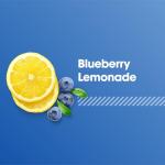 Optimum Nutrition Gold Standard Pre Workout - Blueberry Lemonade