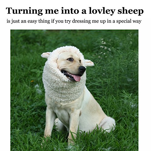 Funny Sheep Dog Costume for Halloween & Christmas