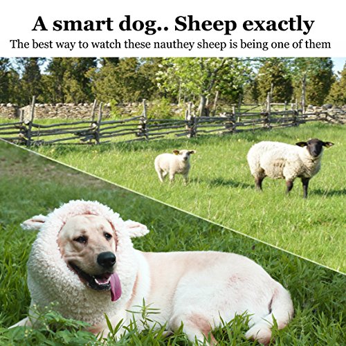 Funny Sheep Dog Costume for Halloween & Christmas