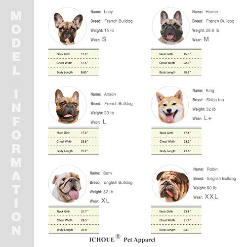 French Bulldog Ladybug Halloween Costume for Dogs