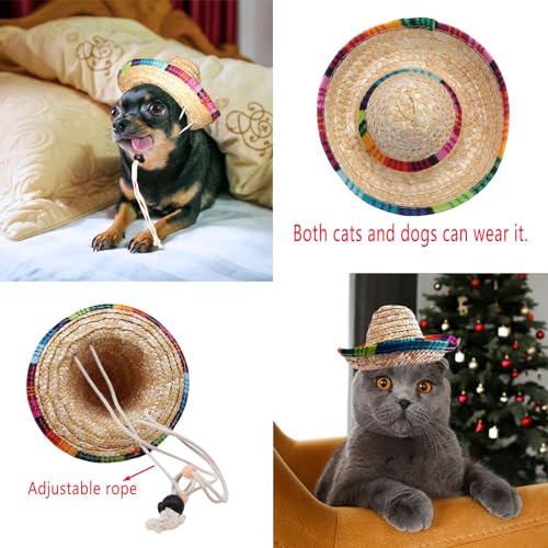 Adorable Mexican Sombrero Hat for Small Pets