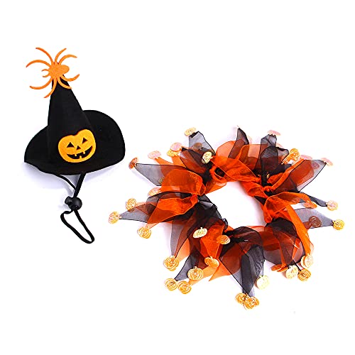 Witch Cat Costume with Tutu and Pumpkin Hat