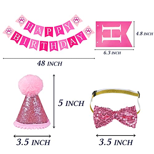 Cat Birthday Party Hat and Bandana Set
