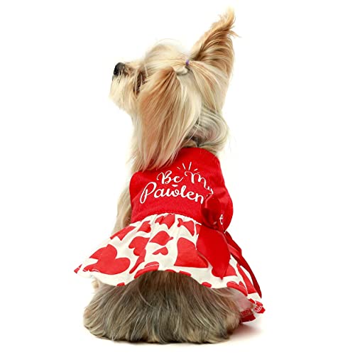 Valentine’s Day Be My Pawlentines Pet Dress