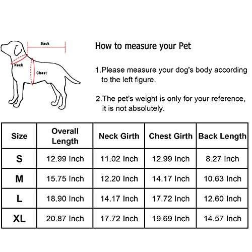 Joker Costume for Dogs and Cats - Funny Hoodie