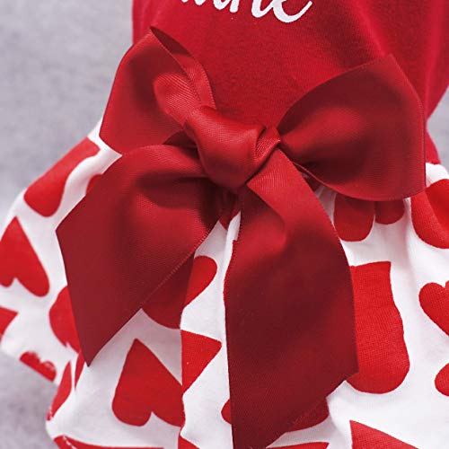 Valentine’s Day Be My Pawlentines Pet Dress