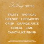 Noon Wheat Craft Beer 12-Pack