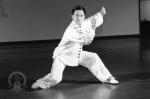 Beginner's Guide to Tai Chi Chuan Applications