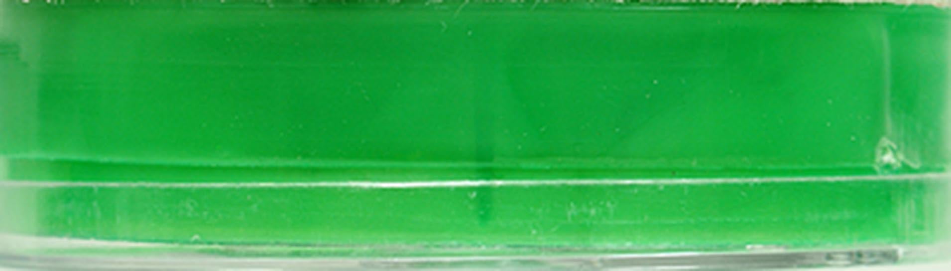 Eagle Claw Steel Bass Casting Weight Sinkers Set