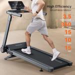 Vitalwalk Foldable Treadmill with Auto Incline