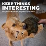 Outward Hound Hedgehogz Stuffed Dog Toy – Soft Plush Hedgehog, Grunts & Squeaks, Large, 12" x 6" x 7"