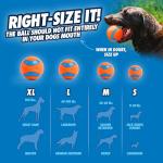 Chuckit! Dog Balls - Interactive Dog Toys, High-Bounce Fetch Ball, Ultra and Rugged Balls, Durable - Size Medium, 2.5-inch Diameter, Set of 3