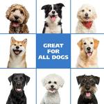 Wahl USA Pet Friendly Waterless No Rinse Shampoo for Animals – Lavender & Chamomile Scented - Cleaning, Conditioning, Detangling, & Moisturizing Shampoo for Dogs – 7.1 Oz - Model 820014A