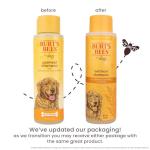 Burt’s Bees for Pets Oatmeal Dog Shampoo with Honey, Soothing Dog Shampoo for Itchy and Sensitive Skin, pH Balanced Formula That Gently Cleans and Moisturizes Dog Coats, 16 Fl Oz