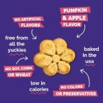 Fruitables Baked Dog Treats, Healthy Pumpkin Treat for Dogs, Low Calorie & Delicious, No Wheat, Corn or Soy, Made in the USA, Pumpkin and Apple Flavor, 7oz