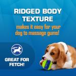 Nerf Dog Toy Gift Set, 3-Piece Set of Outdoor Dog Toys for Fetch, Includes Checker Crunch Ball, Spike LED Squeak Ball and Tire Squeak Football