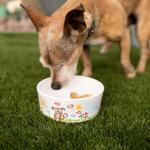 Loving Pets Dolce Moderno Dog Bowl – Modern Melamine Dog Food Bowl & Dog Water Bowl – Durable, Non-Slip Pet Dish for Small & Medium Dogs – Dishwasher Safe Dog Bowl (Small, 16 oz)