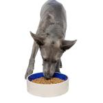 SPOT Standard Crock Dish - Heavy Duty, Non-Slip, Round Ceramic Food/Water Bowl for Pets, Ideal for Medium to Large Dogs or Multiple Animals, Dishwasher Safe - 9.5 in, 8 Cups, (64 Oz)