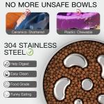 Feedoo Slow Feeder Dog Bowl-2Cups for Medium Breeds, Double Wall Food-Grade Stainless Steel, Heavy Duty with Non-Slip Rubber Base, Puzzle Maze Bowl to Slow Down Eating