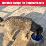 SPOT Standard Crock Dish - Heavy Duty, Non-Slip, Round Ceramic Food/Water Bowl for Pets, Ideal for Medium to Large Dogs or Multiple Animals, Dishwasher Safe - 9.5 in, 8 Cups, (64 Oz)