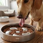 Feedoo Slow Feeder Dog Bowl-2Cups for Medium Breeds, Double Wall Food-Grade Stainless Steel, Heavy Duty with Non-Slip Rubber Base, Puzzle Maze Bowl to Slow Down Eating