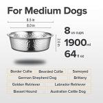 URBUDDIES 2 Pack Hammered Stainless Steel Dog Bowls, Premium Metal Dog Bowls with Non Slip Rubber Bottom, Dishwasher Safe, Easy to Clean, 8 Cup, Gray Bottom