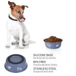 FrutPunch Stainless Steel Dog Bowls, Dog Food Bowl with Silicone Non-Slip, Puppy Bowls for Medium, Set of 2
