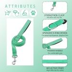 Maiiu Reflective Dog Collar with Safety Locking Buckle, Adjustable Soft Breathable Nylon Collars for Small, Medium and Large Dogs(Collar+Leash XS Width 5/8" Turquoise)