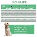 Maiiu Reflective Dog Collar with Safety Locking Buckle, Adjustable Soft Breathable Nylon Collars for Small, Medium and Large Dogs(Collar+Leash XS Width 5/8" Turquoise)