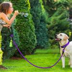 Dynmeow Reflective Dog Collar and Leash Set, 6FT Strong Climbing Rope Leash with Padded Handle, Adjustable Pet Collar with Soft Neoprene Padding for Medium Large Dogs, Purple, M