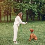 Maiiu Reflective Dog Collar with Safety Locking Buckle, Adjustable Soft Breathable Nylon Collars for Small, Medium and Large Dogs(Collar+Leash XS Width 5/8" Turquoise)